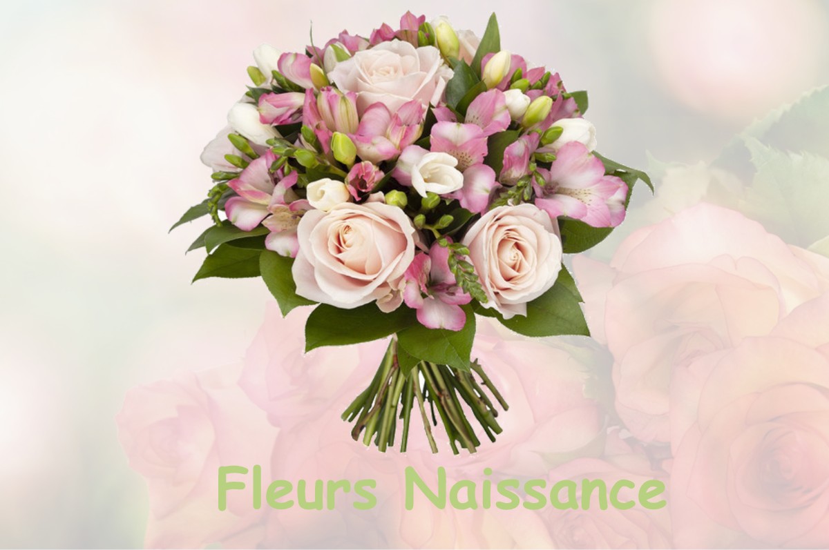 fleurs naissance SAINT-PAUL-TROIS-CHATEAUX